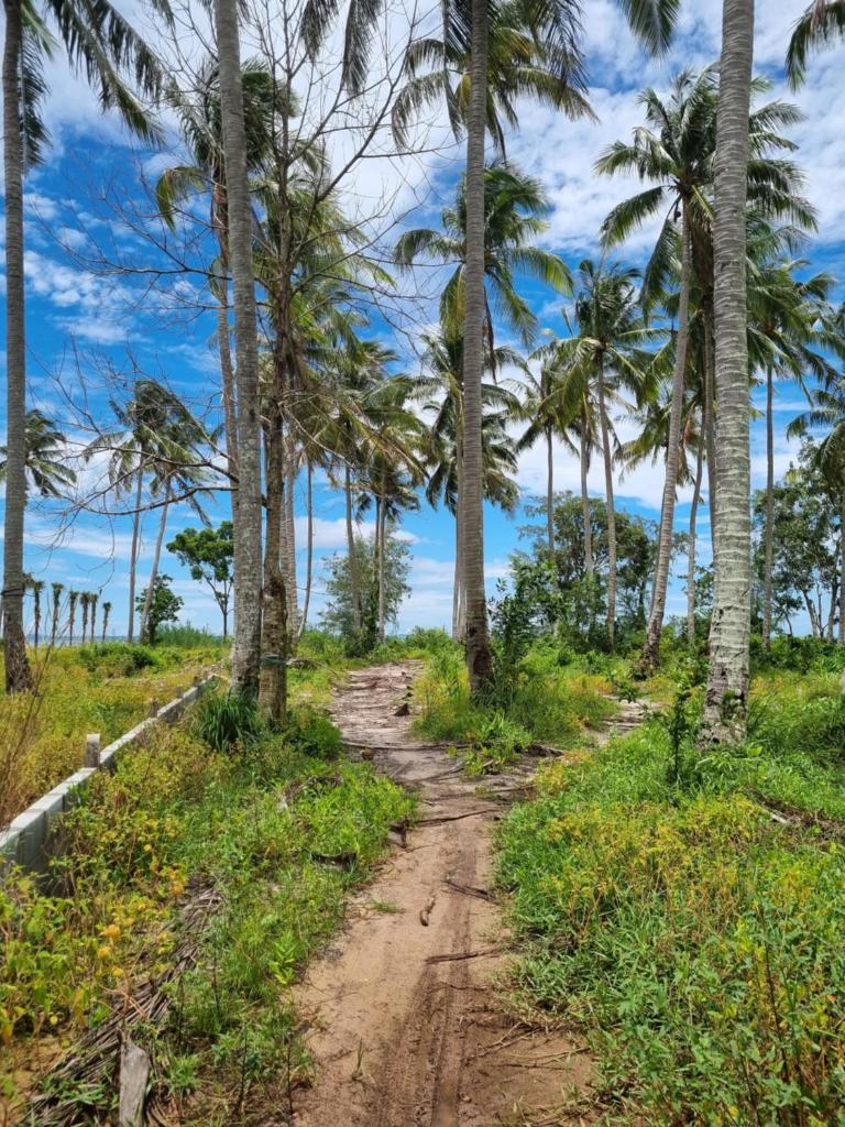 The An An Bungalow Homestay Phu Quoc