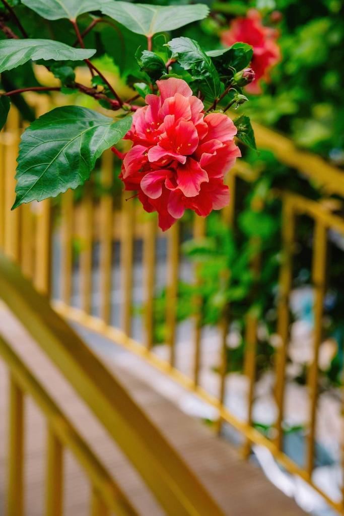 Ecorest Villa Cát Bà