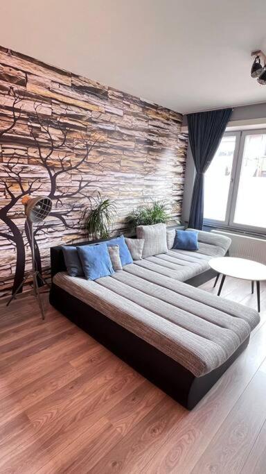 Appartement op wandelafstand van Antwerpen City