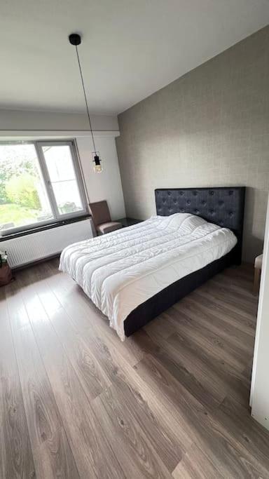 Appartement op wandelafstand van Antwerpen City photo 2