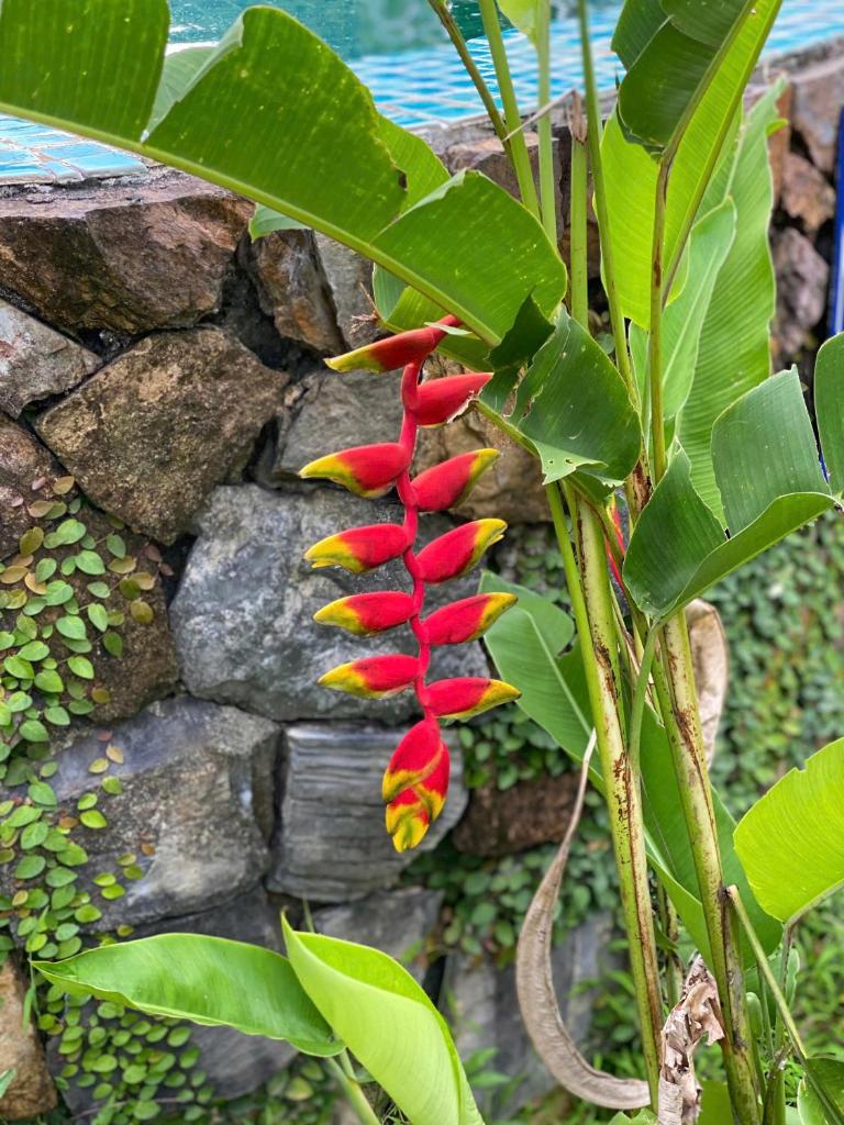 Villa 109 Thang Mây