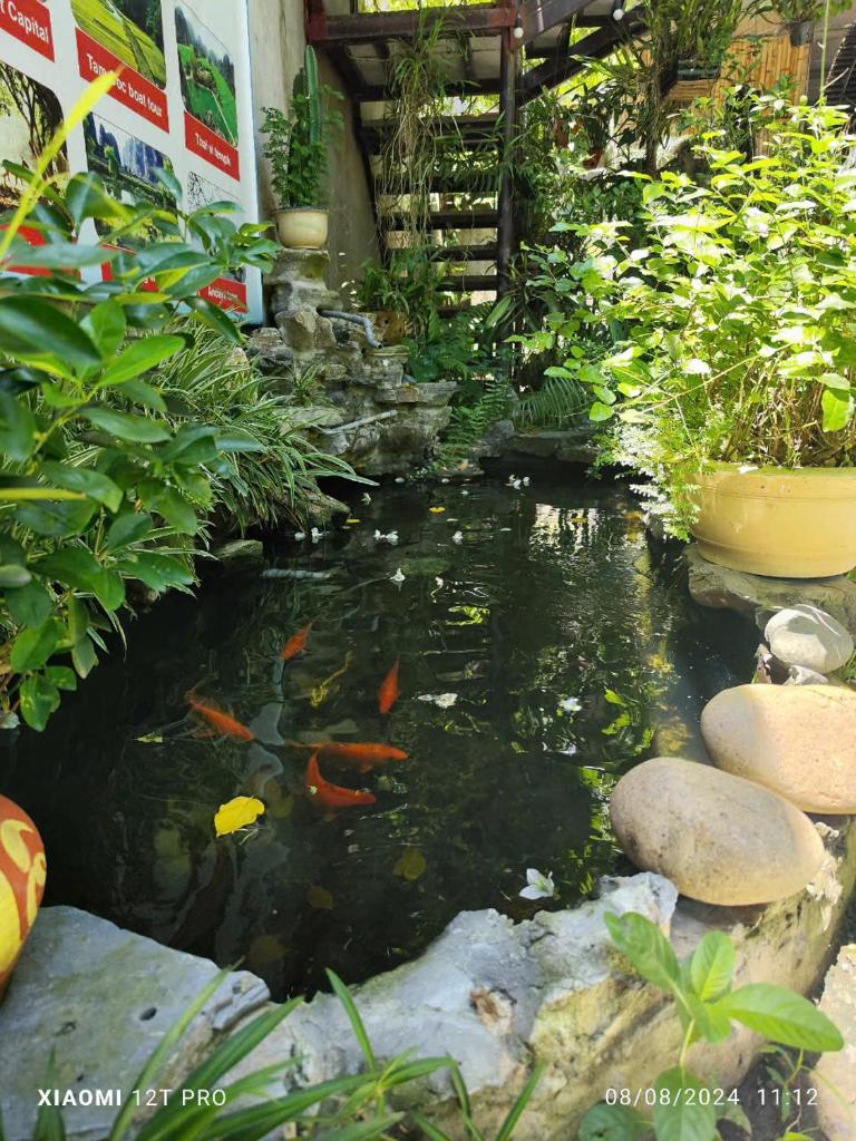 Trang An NP Homestay