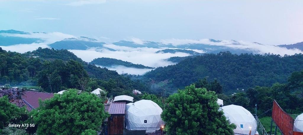 ไร่สายหมอก Room Type - Tent
