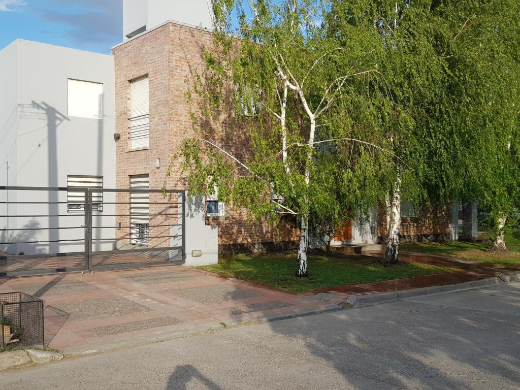 Departamentos Alsina 1 photo 4