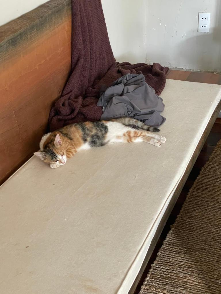 Manh Manh Villa Farm house