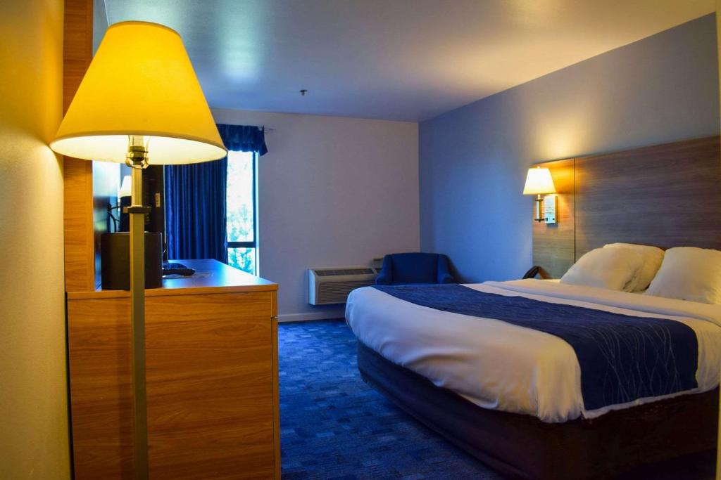 Comfort Inn Bellingham image