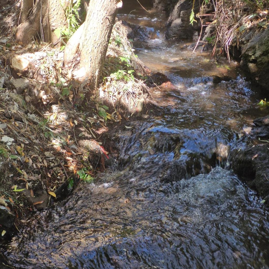 Stop photo 3