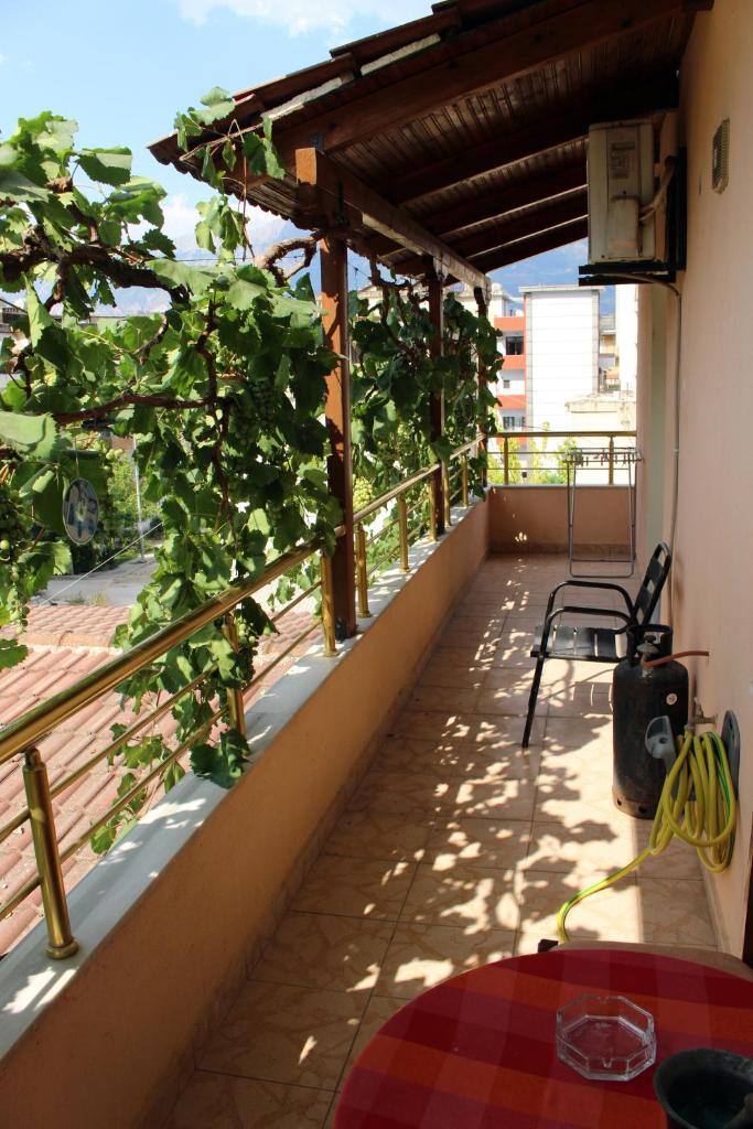 Margarita - Entire house with 4 bedrooms and free parking photo 3