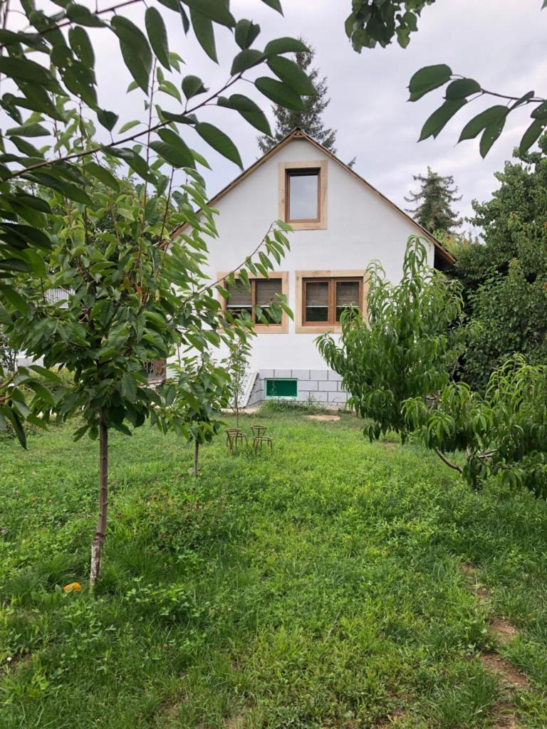Dacha photo 2