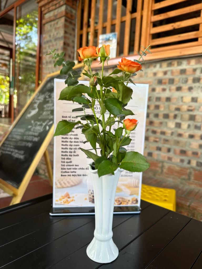 Ninh Binh Friendly Homestay