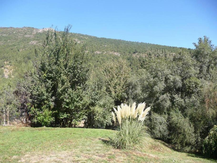 Beautiful Residence with view to the Otto Mountain photo 4