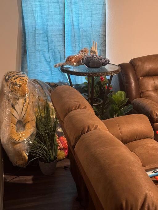 Jungle Paradise close to everything in town image
