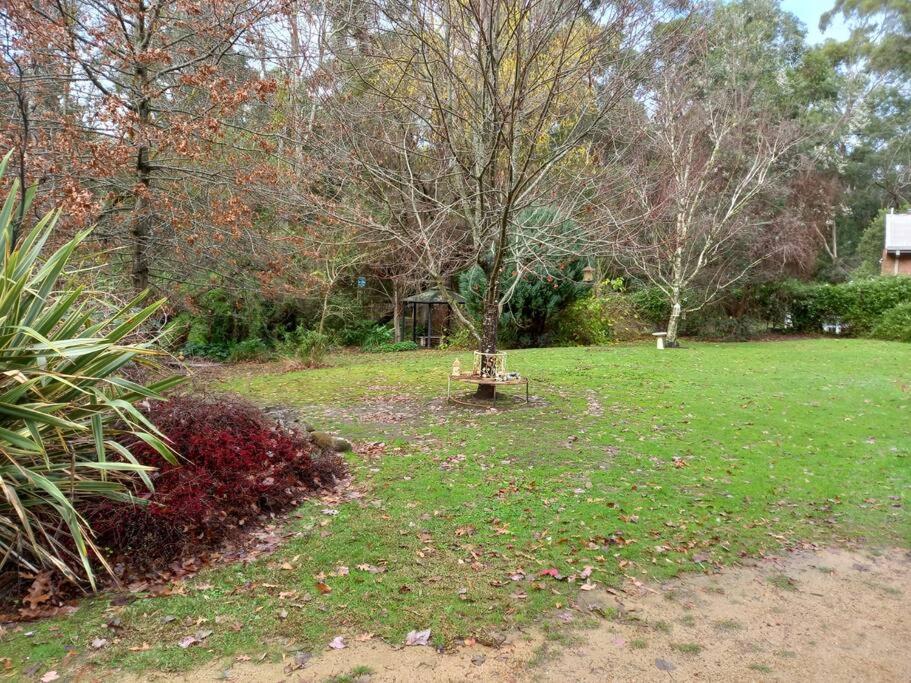 Homefield Cottage Halls Gap photo 2