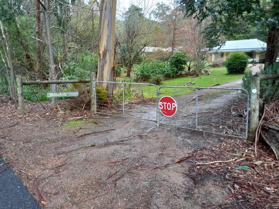 Homefield Cottage Halls Gap photo 3