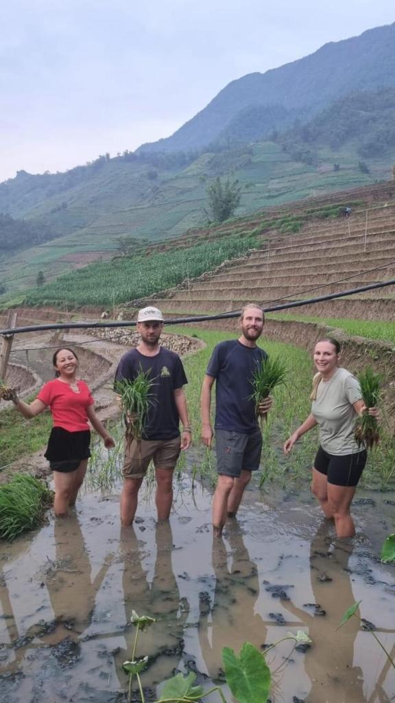 Tom Tom Ricefield Homestay and Trekking