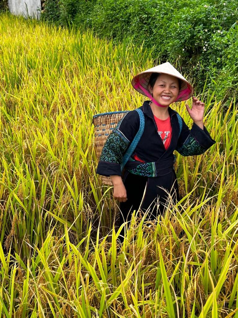 Tom Tom Ricefield Homestay and Trekking