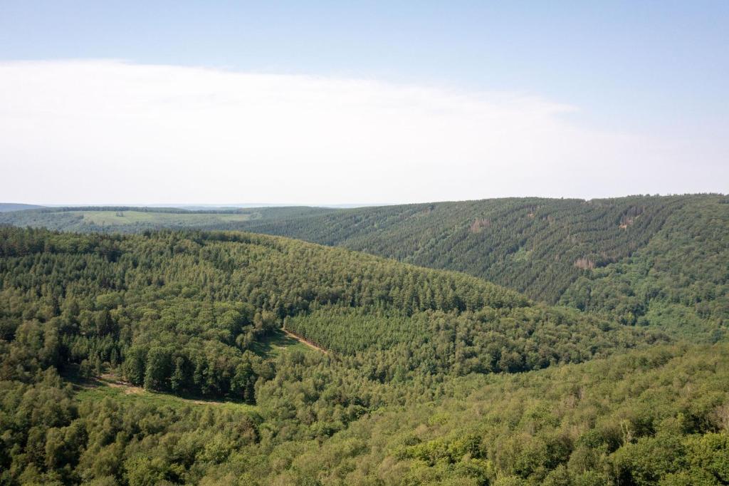 Les cabanes des Dolimarts photo 3