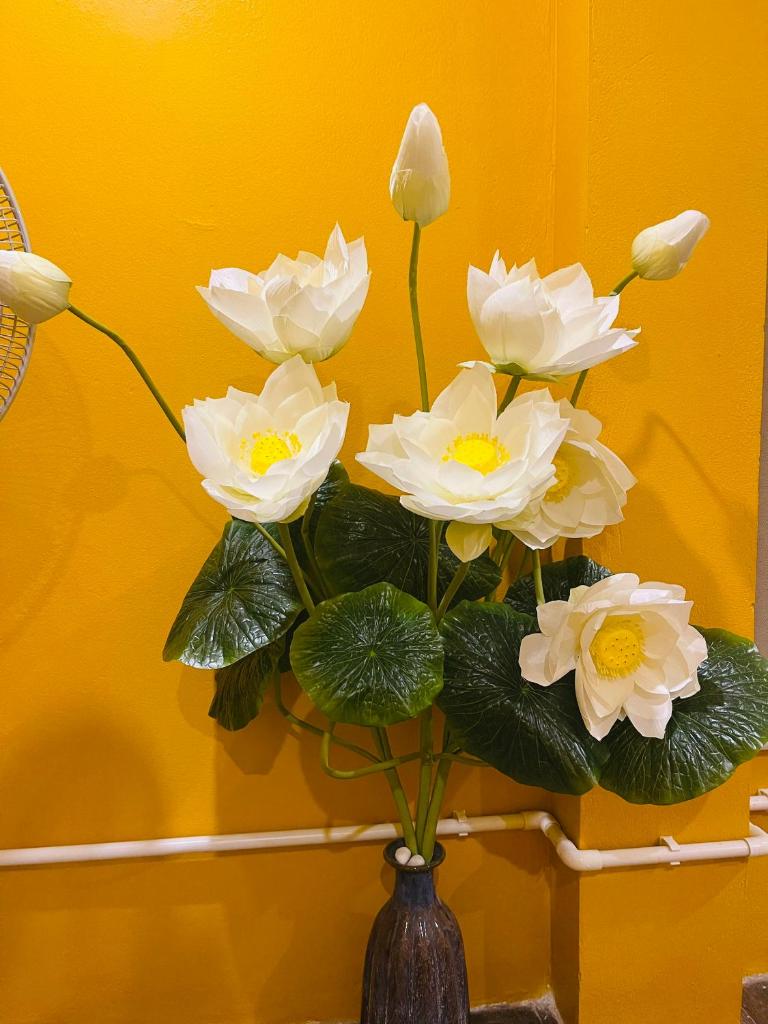 IL Divo Hostel 61 Bát Sứ