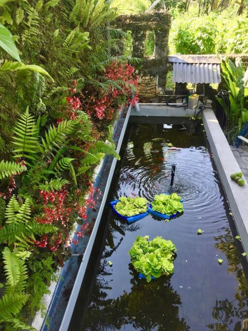 Pondok Plantation, Mountain Villa Escape Bedugul photo 2