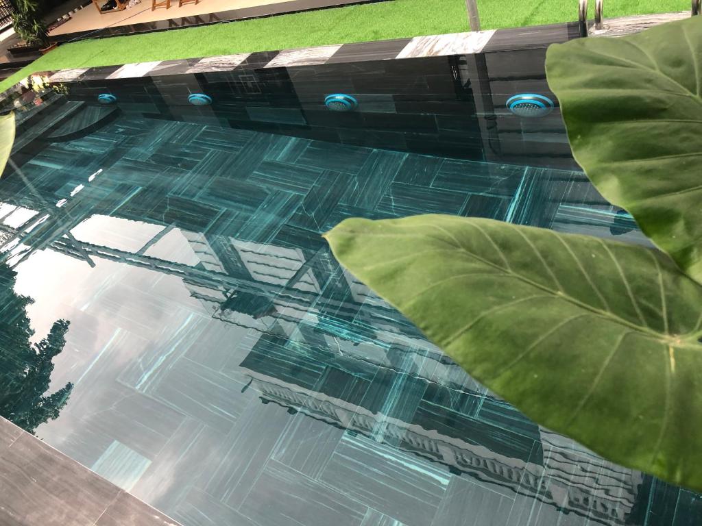 Papaya Garden Homestay