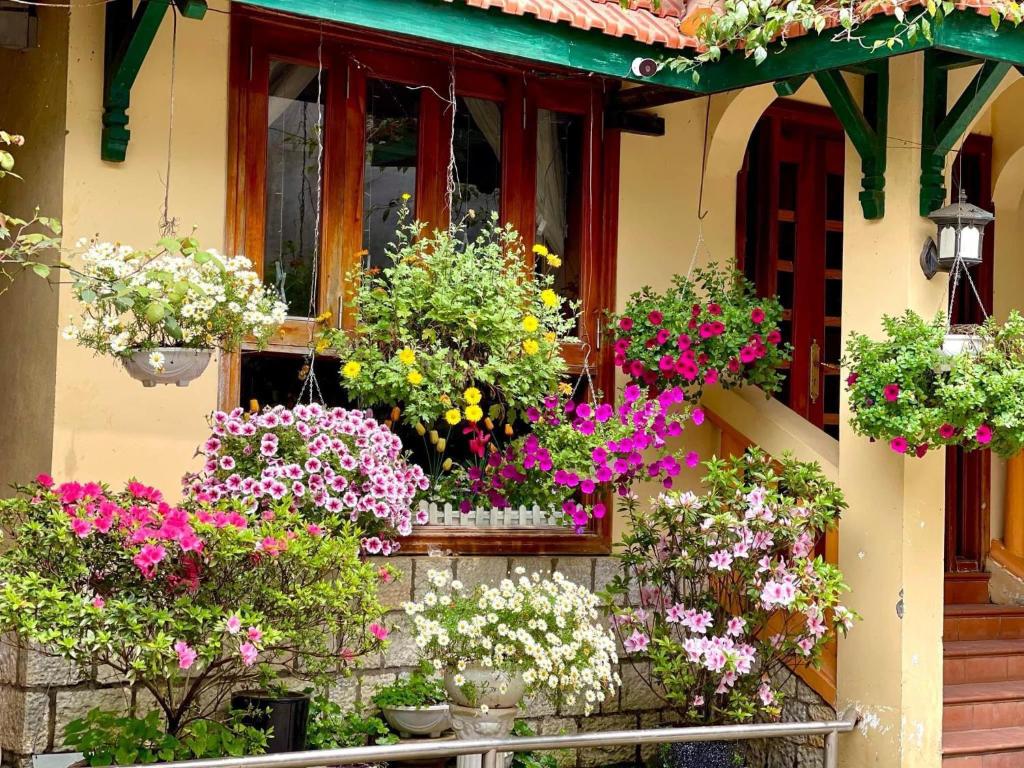 Villa Vườn Hồng