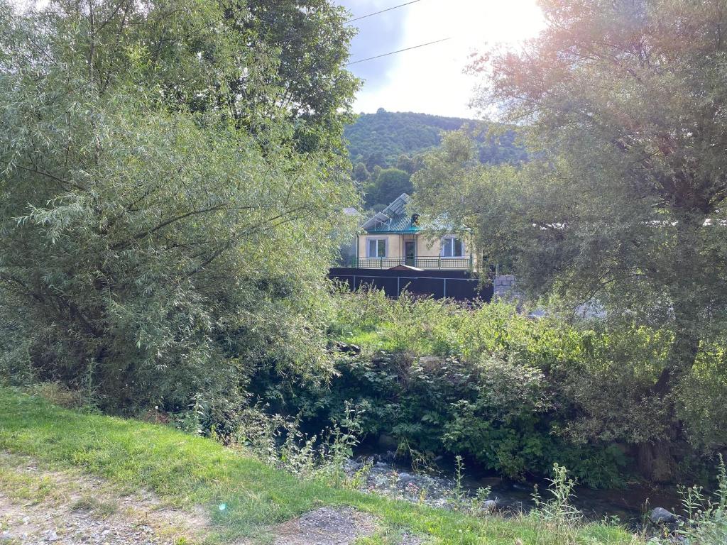 Green House photo 3