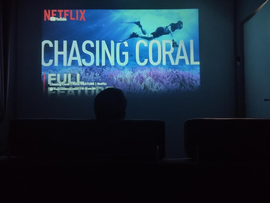 Nice House 2, Home theater And Netflix