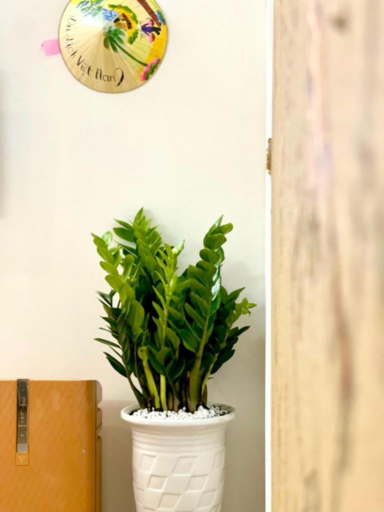 Sora Old Quarter 2 Bedrooms