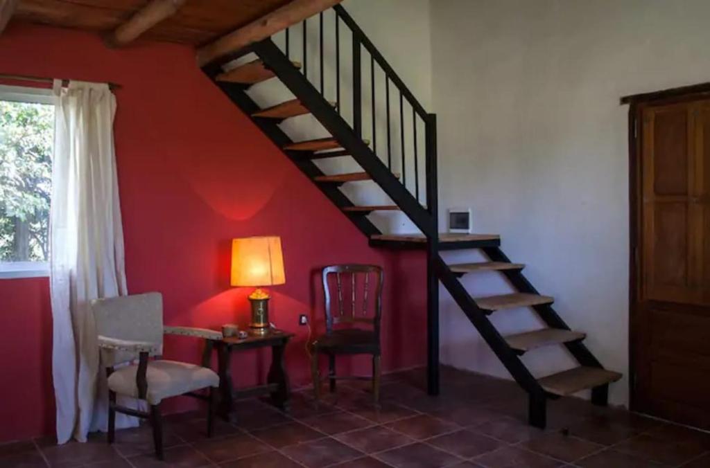 Cabañas El Gaucho photo 3