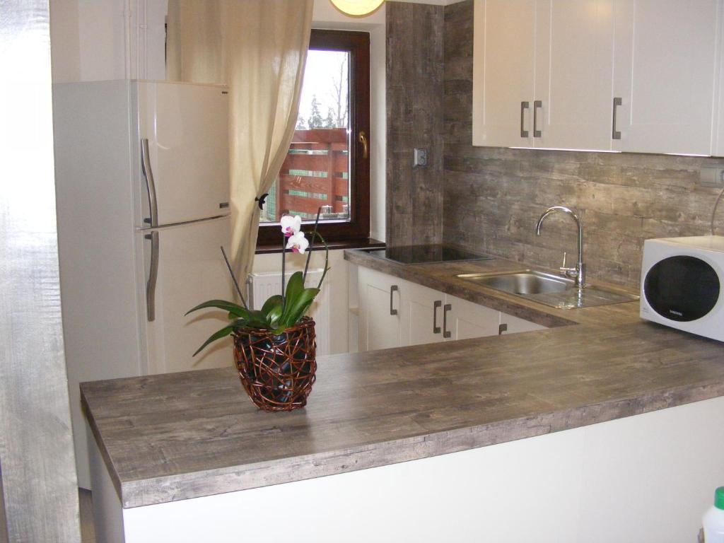 Erelia Cottage photo 3