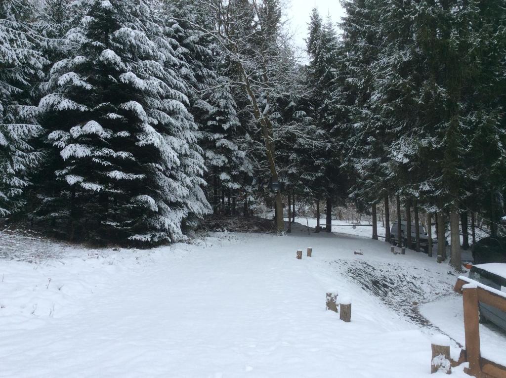 Boshuisje photo 1
