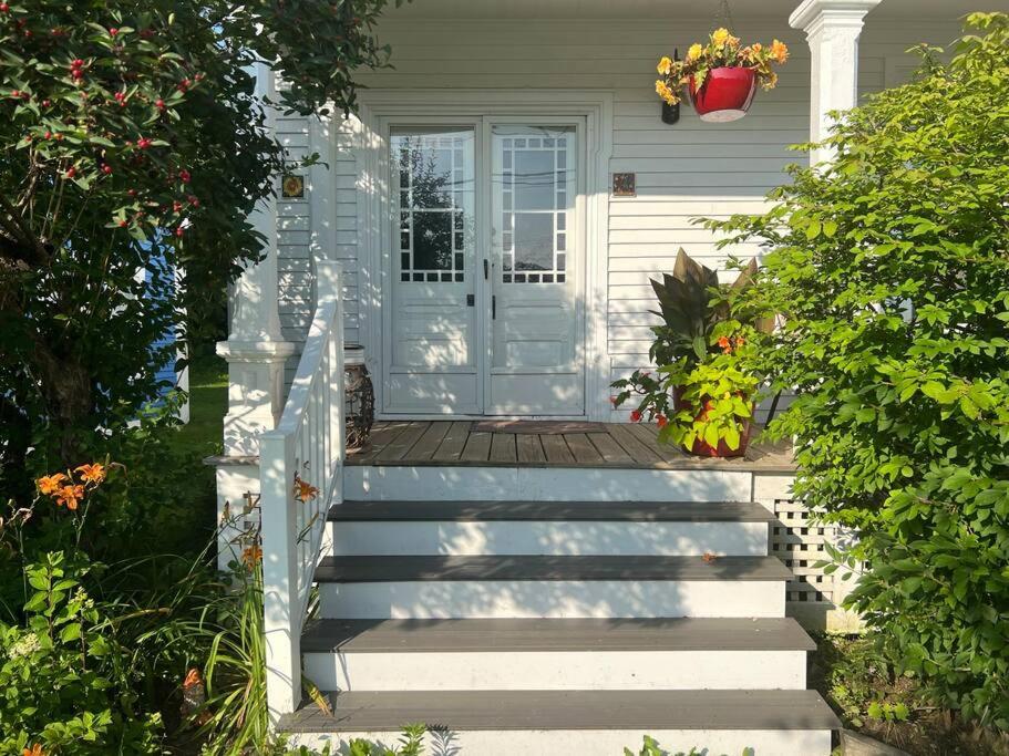 Falls Farmstead 1865 Ellis House Cozy and Comfy Apt #1 image