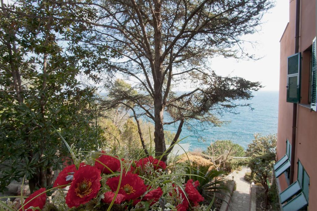 Bed & Breakfast Cas'Alda photo 4