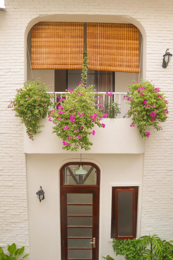 Duoi tan cay - Shadow nest homestay