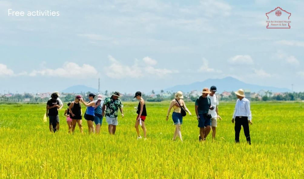 Ancient House Resort Hội An