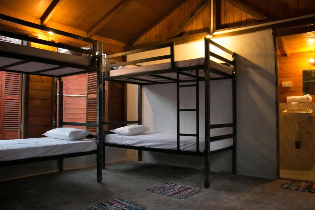 Двухместный (Кровать в общем 6-местном номере для мужчин и женщин), Wonderland Hostel