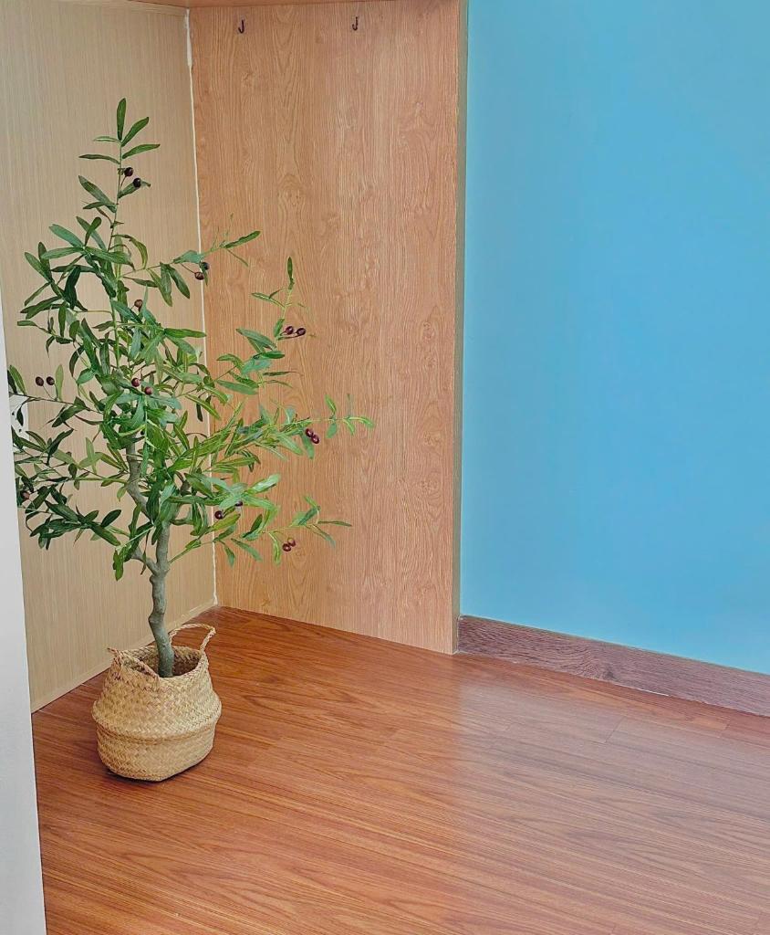 Chốn Bình Yên Homestay Vũng Tàu - Căn Hộ Dịch Vụ có đến 1-2-3 Phòng Ngủ