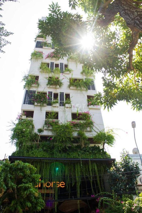 Seahorse Tropical Apartment Da Nang