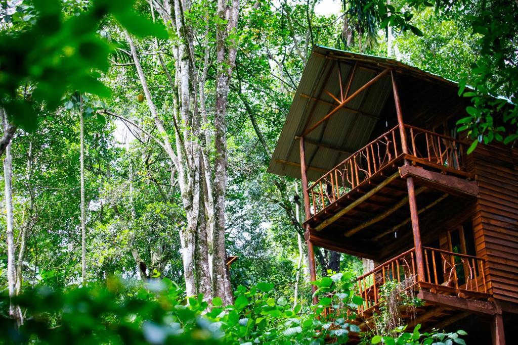 Ella Ecolodge photo 1