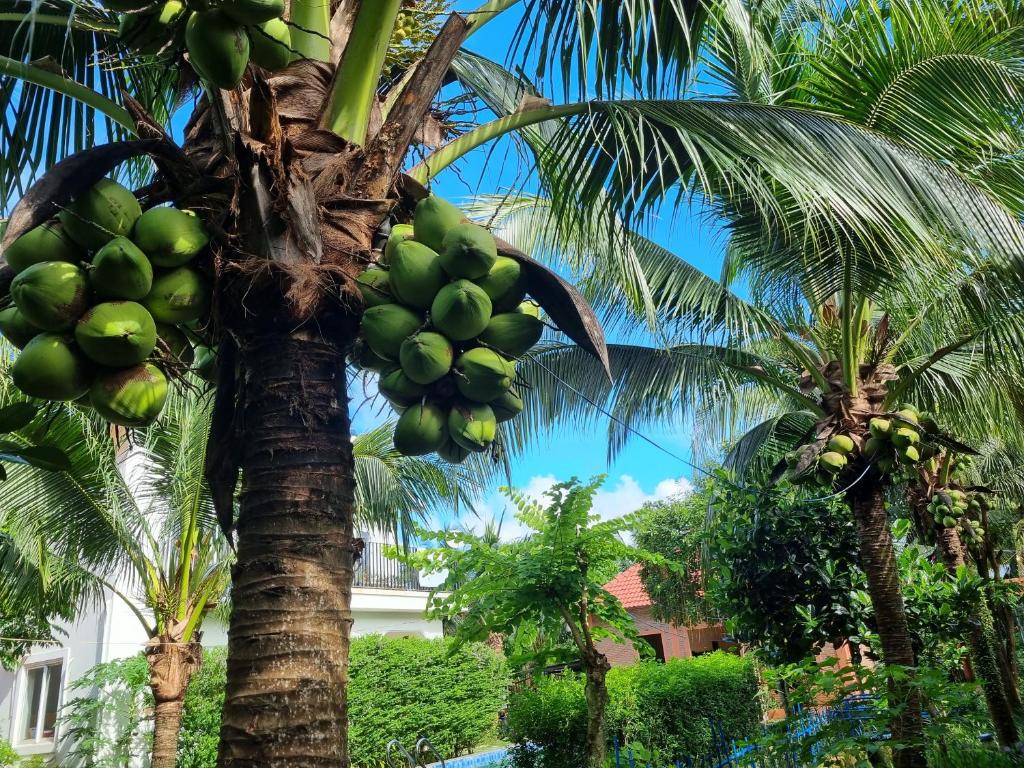 The An An Bungalow Homestay Phu Quoc
