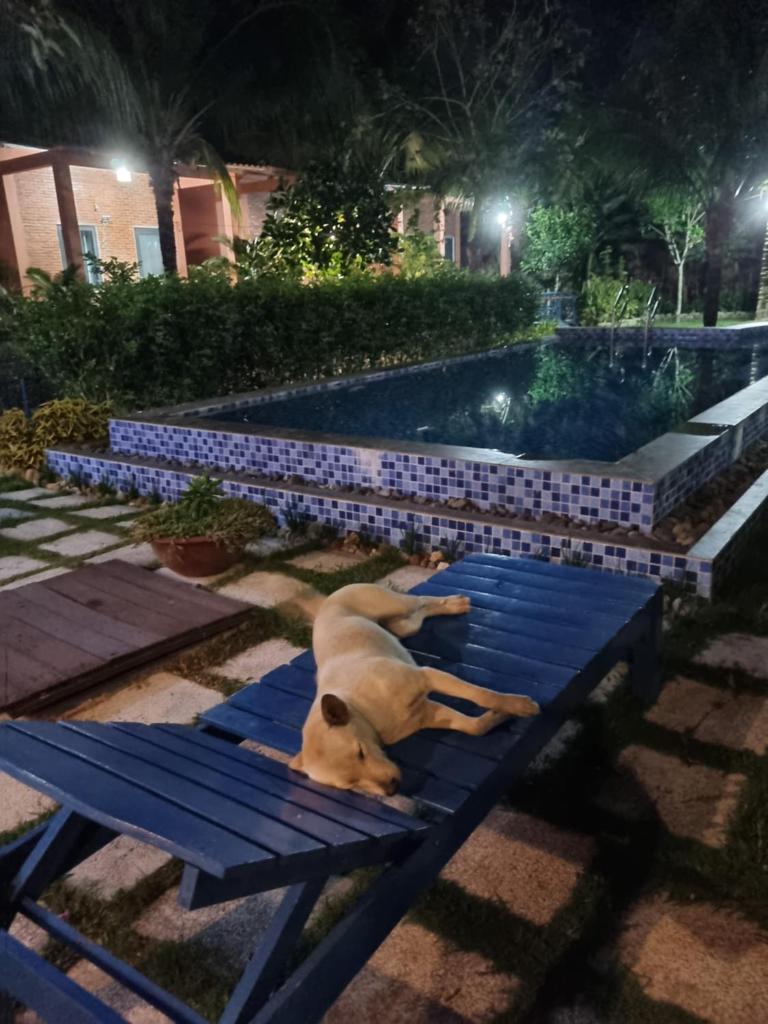 The An An Bungalow Homestay Phu Quoc