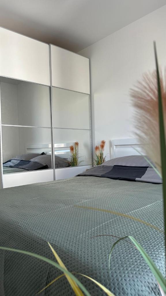 Apartamenty FIGARETTI