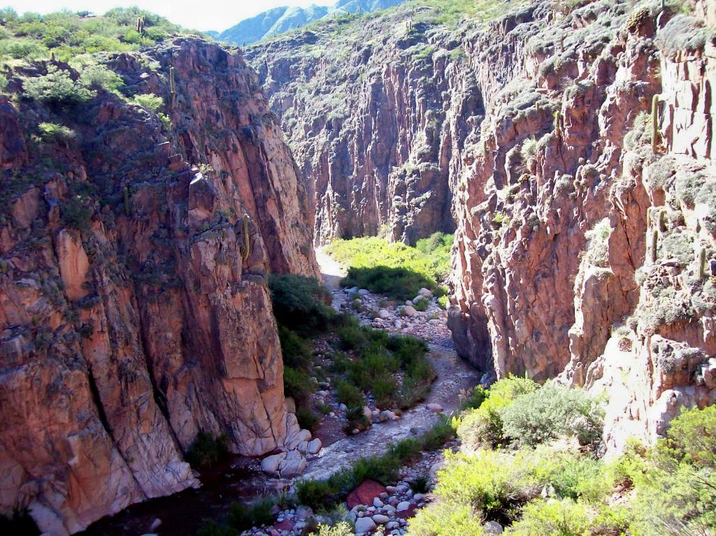 Cerros de Sañogasta, La Rioja photo 1