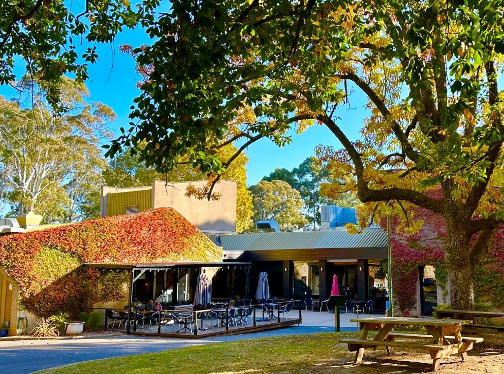 The Grand Oaks