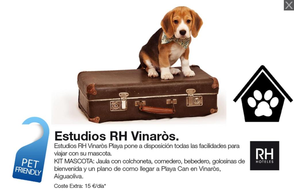 Estudios RH Vinaros photo 4