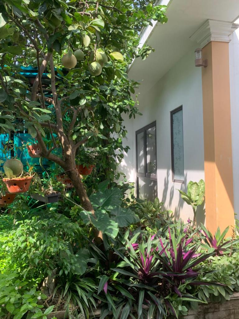 Tam Cốc Minh Gia Homestay