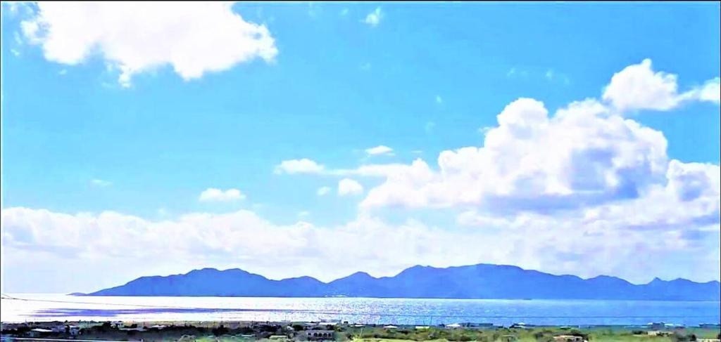 Island Paradise Apartments photo 2