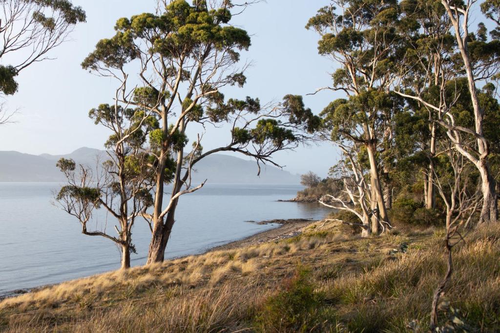 The Hide private Waterfront on Beautiful Bruny photo 1