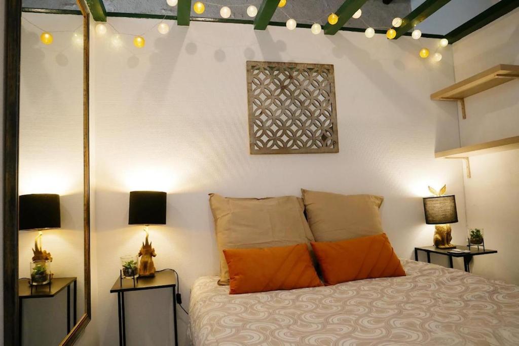 Studio cosy hypercentre Terrasse, Blois