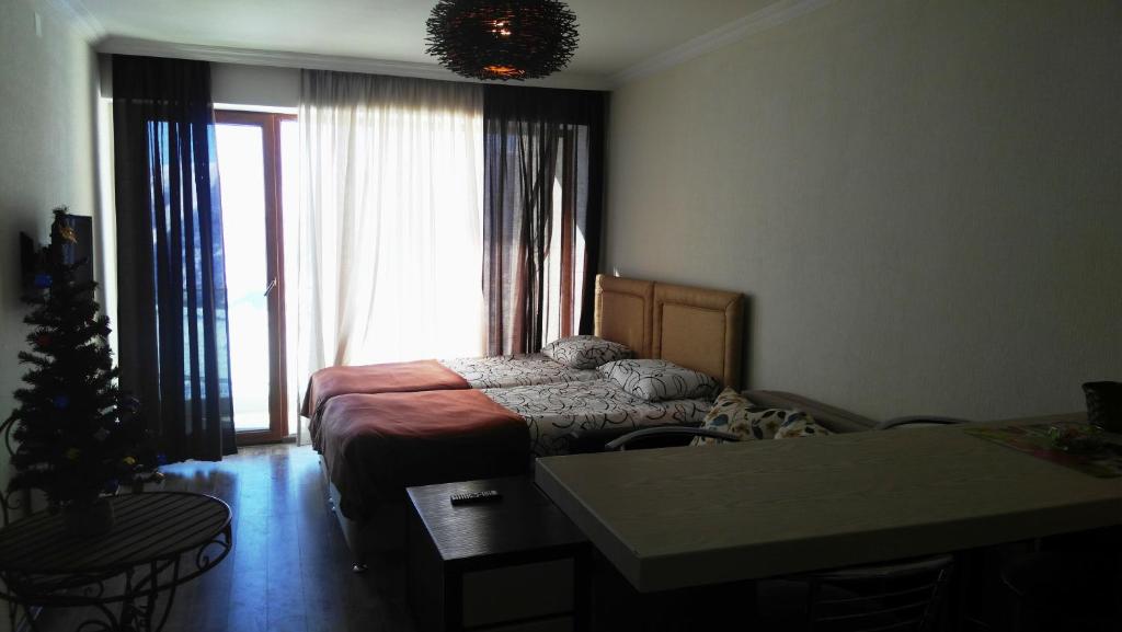 Studio Apartment in New Gudauri 2 photo 4